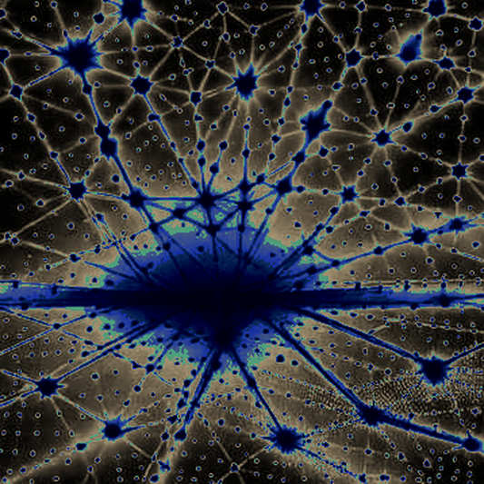 The Trust Paradox: How SpaceX and Starlink X Accounts Were Hijacked for a 12-Minute Rug Pull and What It Reveals About Crypto’s Fragile Narrative Layer