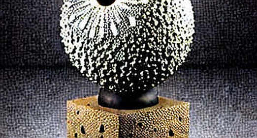 When the Platform Falls: A Meditation on Trust, Ashes, and Digital Resilience When the Platform Falls: A Meditation on Trust, Ashes, and Digital Resilience