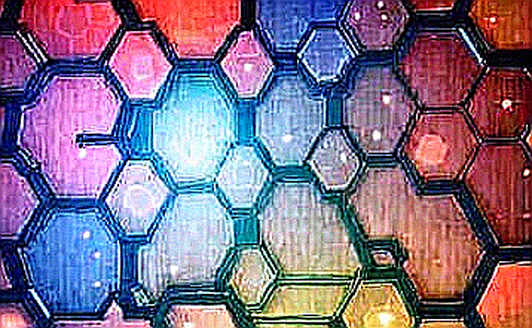 Ripple vs Chainlink: The Hollow Echo of Crypto Community Warfare