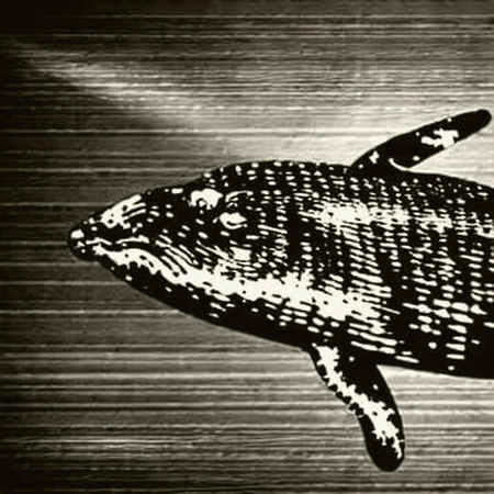 The Fall of Movement Labs: A Forensic Autopsy of Governance Failure and Market Manipulation